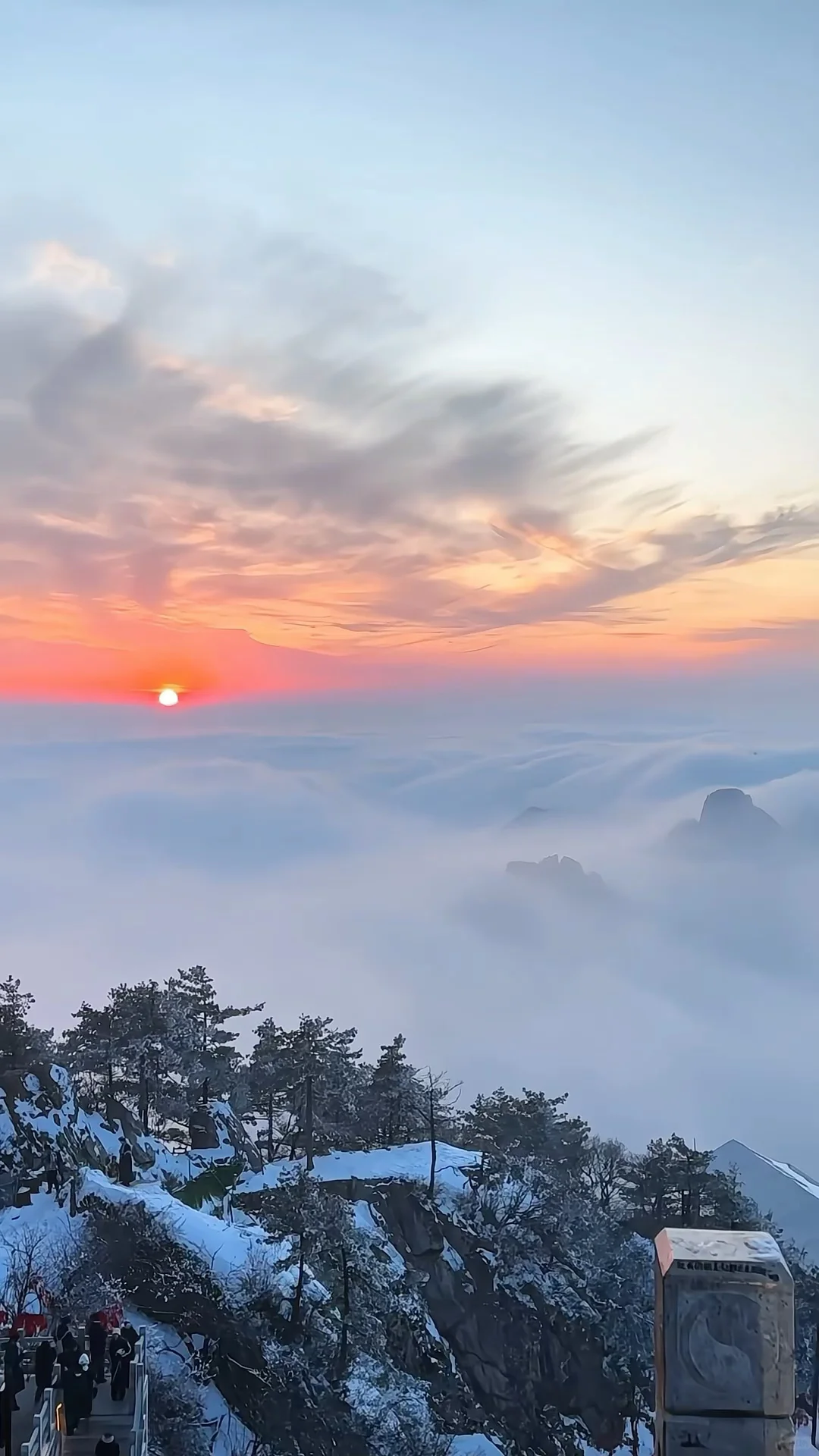 学生党必看！保姆级攻略！