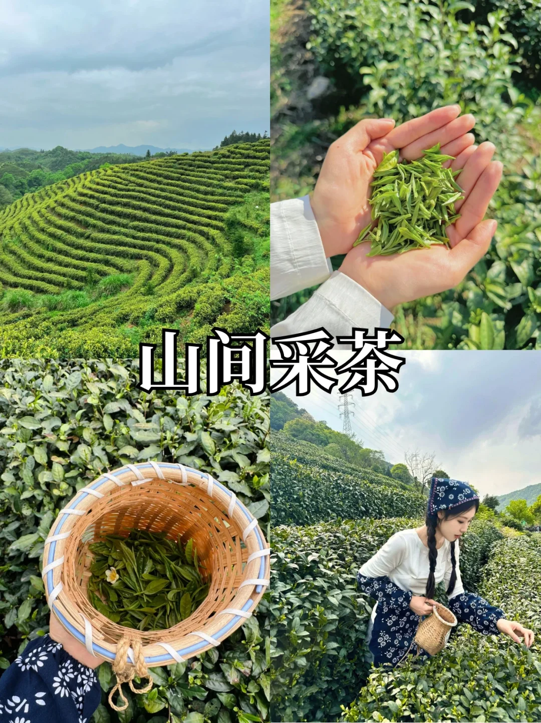 不用找啦❗亲测好玩✅莫干山两天保姆级攻略