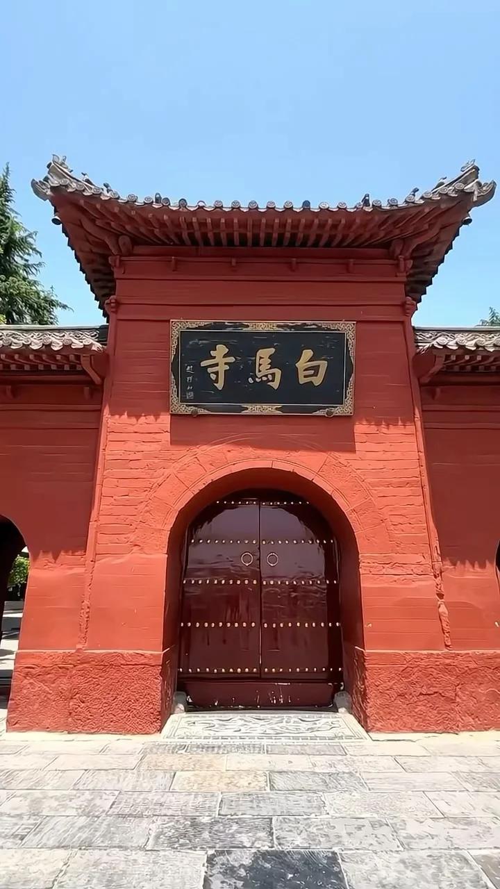 学生党必看！保姆级攻略！