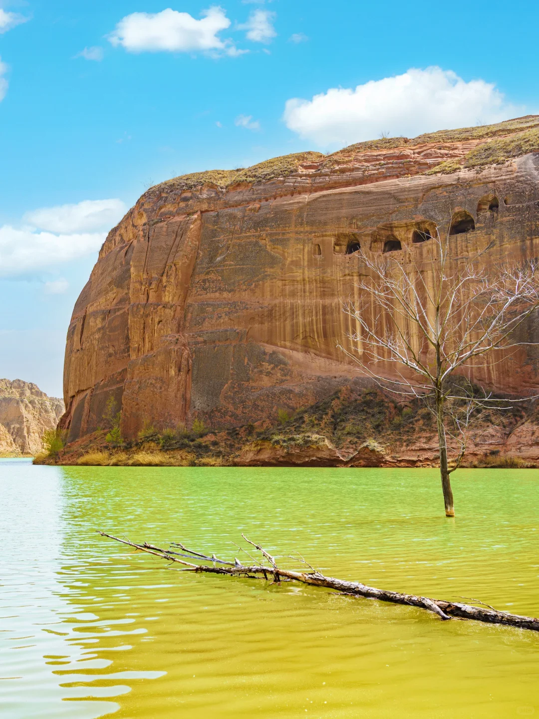 朋友圈问爆了💥还以为我去了国外🤣🤣🤣