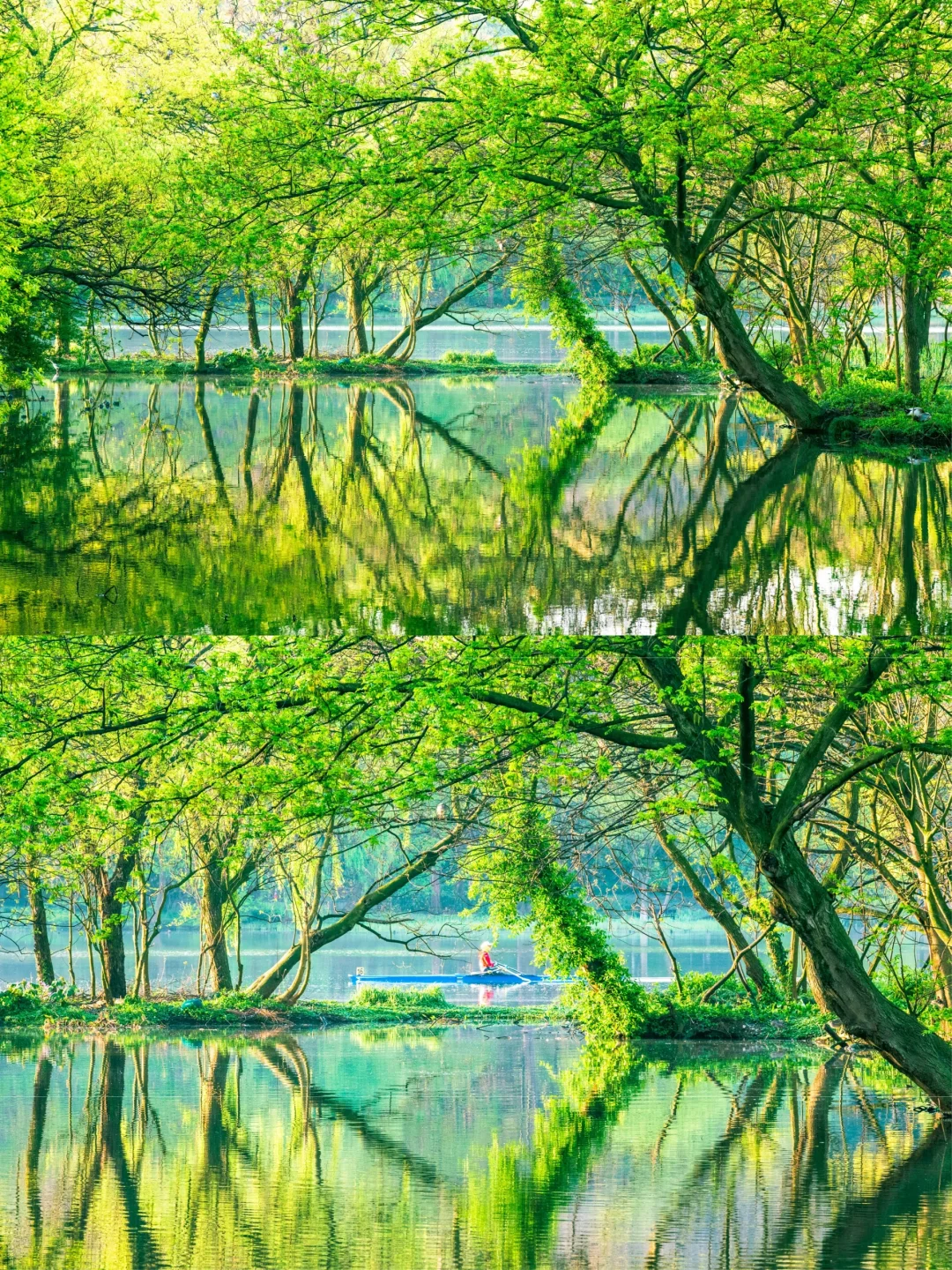 比起雷峰塔，我更推荐西湖这些小众好去处❗