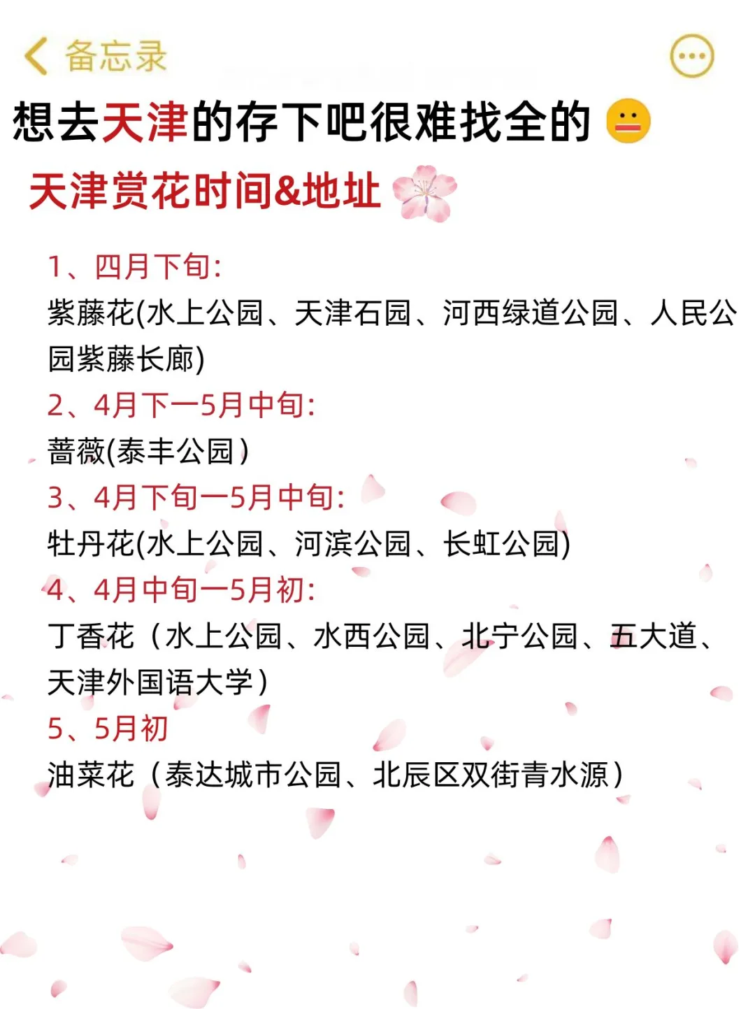 五一来天津的姐妹们注意啦💯来天津一定要看