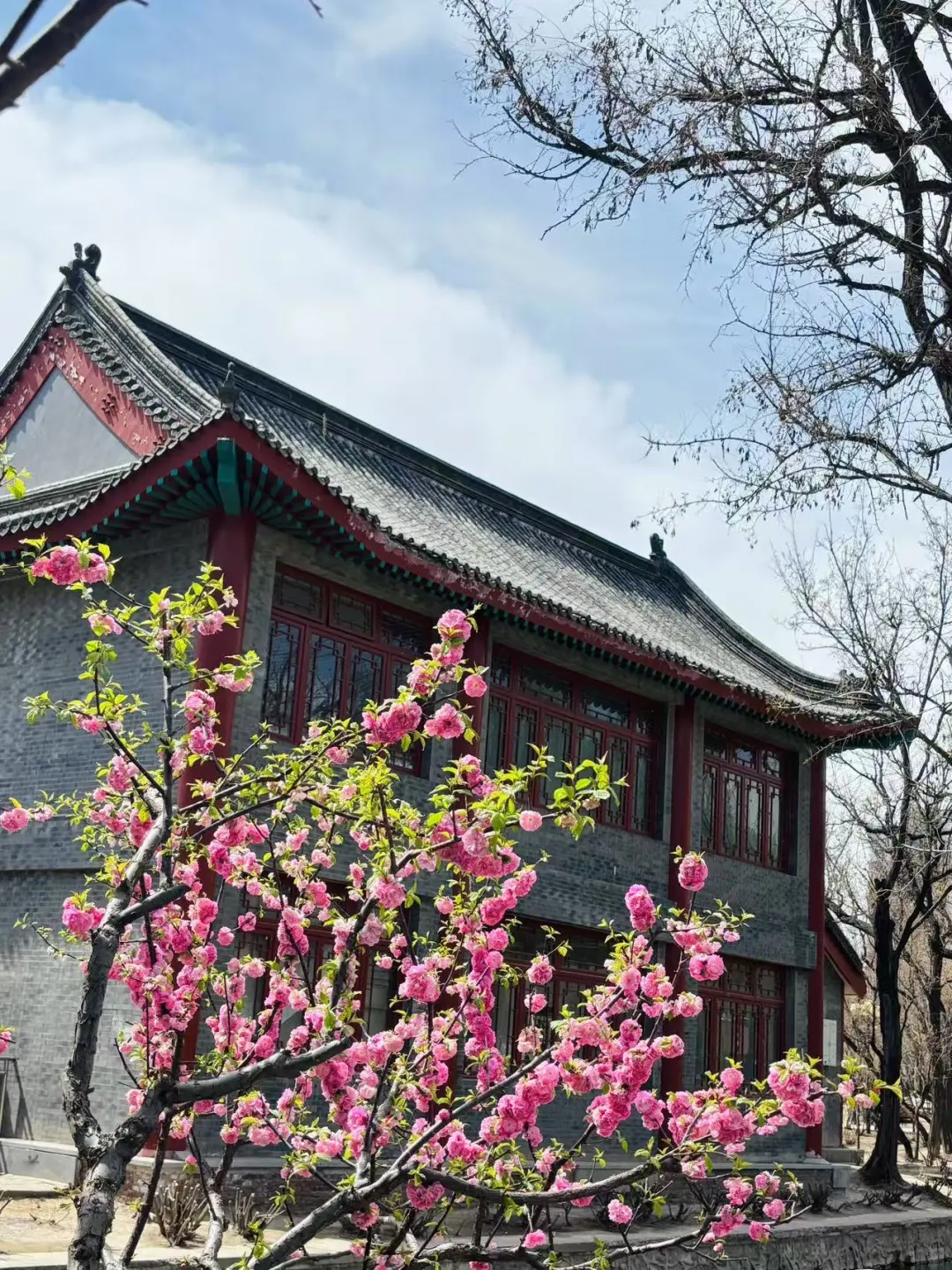 五一来天津的姐妹们注意啦💯来天津一定要看