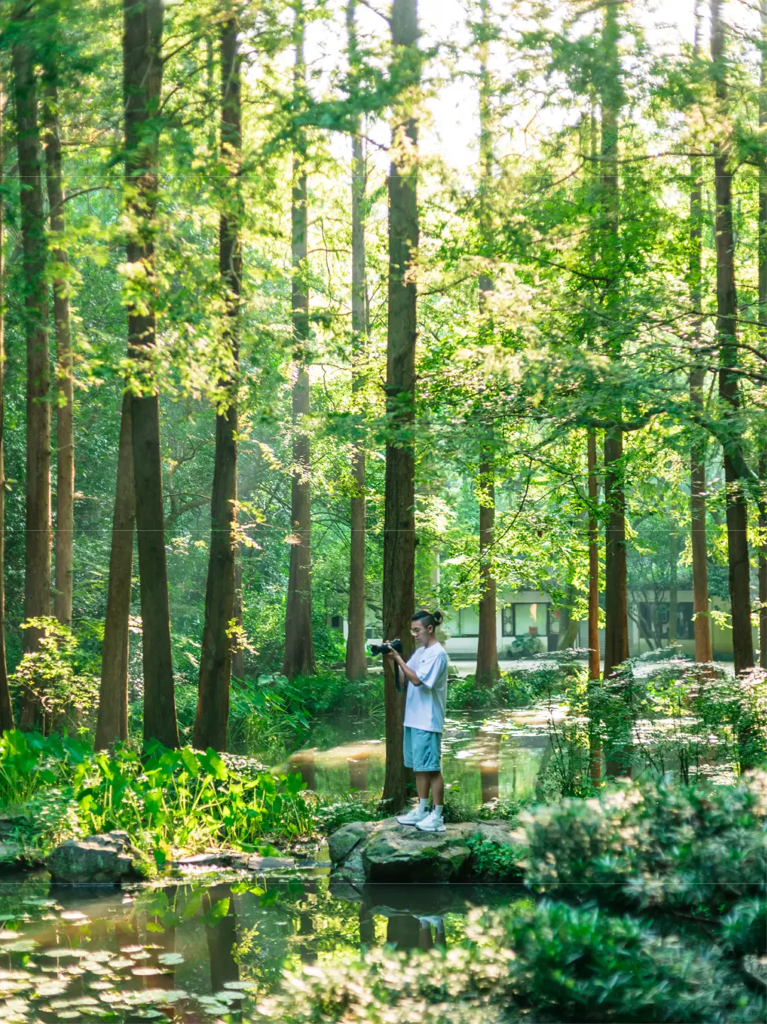 比起雷峰塔，我更推荐西湖这些小众好去处❗