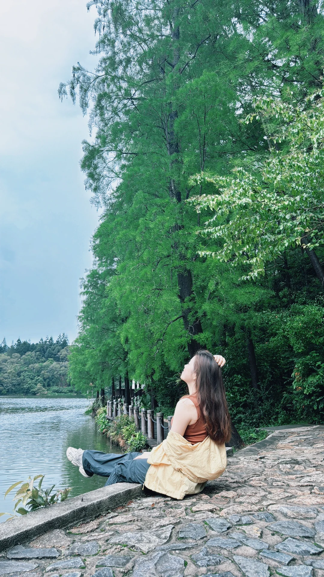 闯入现实版绿野仙踪 | 仙湖植物园🌳