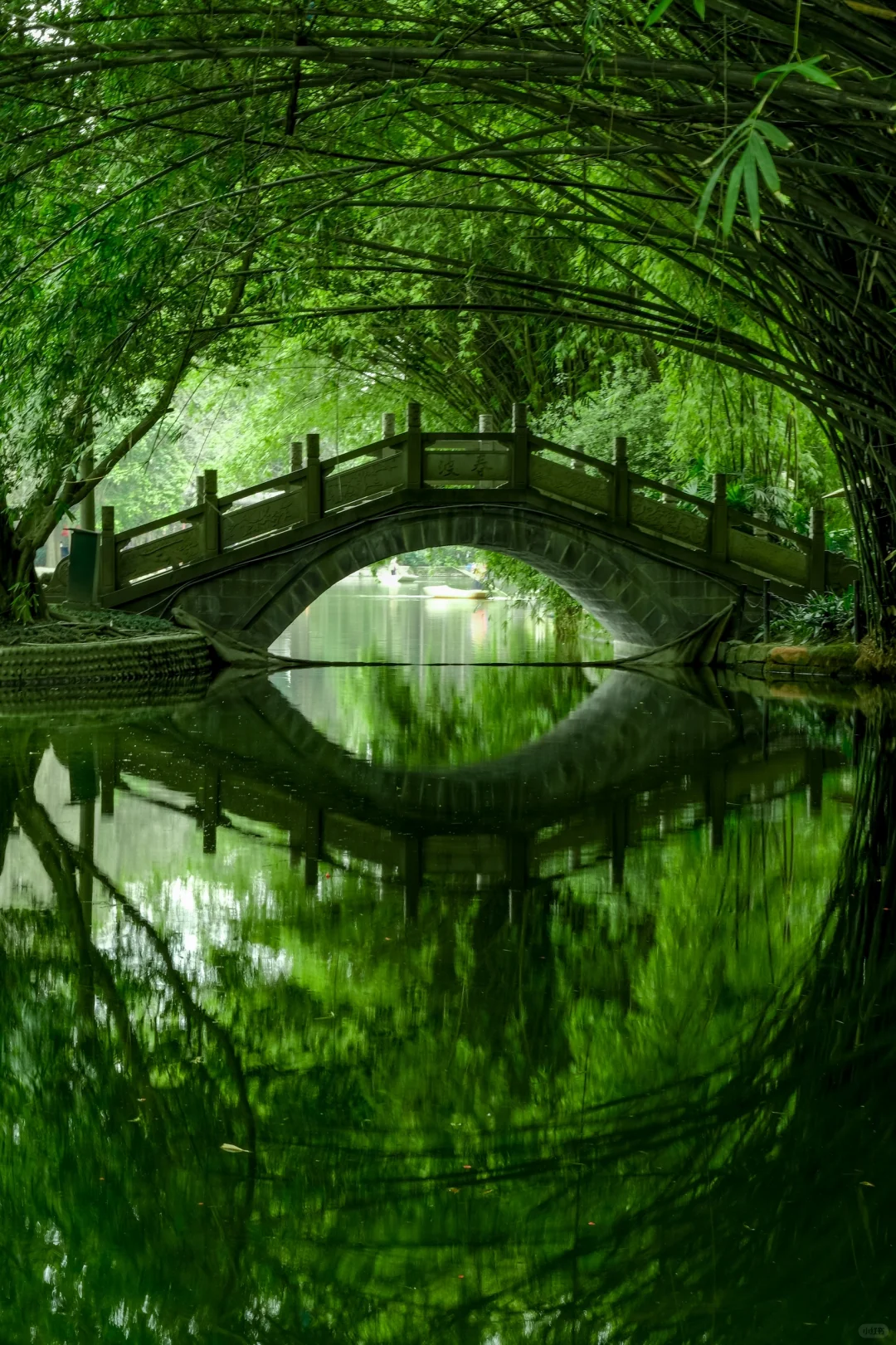 交换春天｜在成都找到了现实版的“言叶之庭”