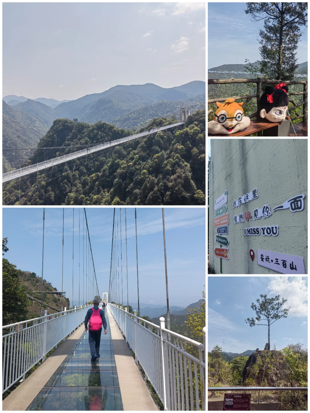 东江之源，大美小众三百山🛣🚘