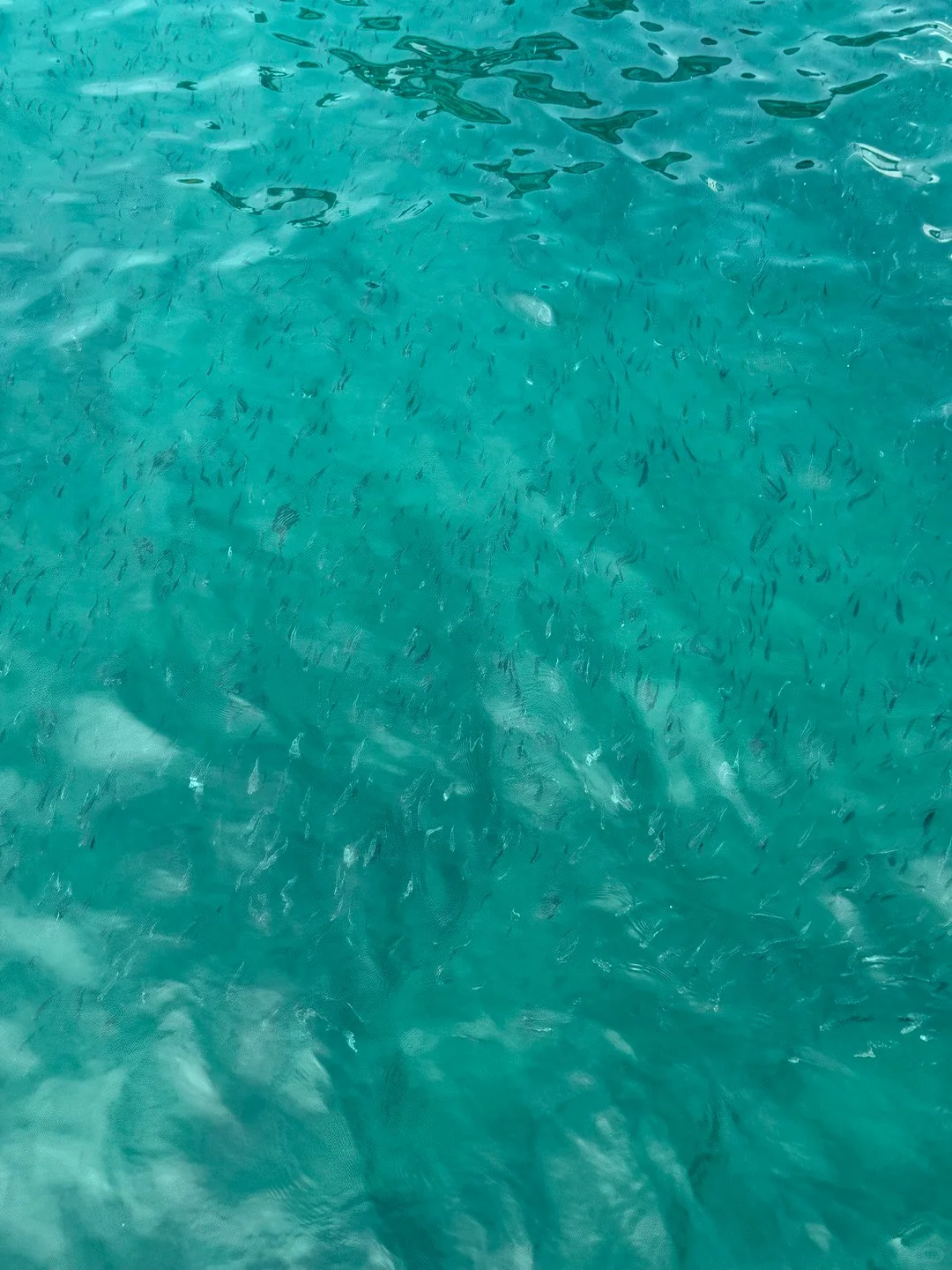 三亚真的会惩罚每个不提前预约的人…😭