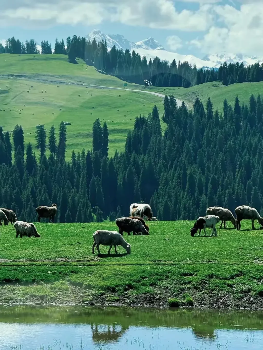 6月-8月新疆旅游攻略