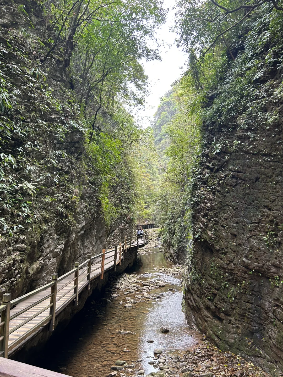 张家界大峡谷！湖南自己的仙本那！！