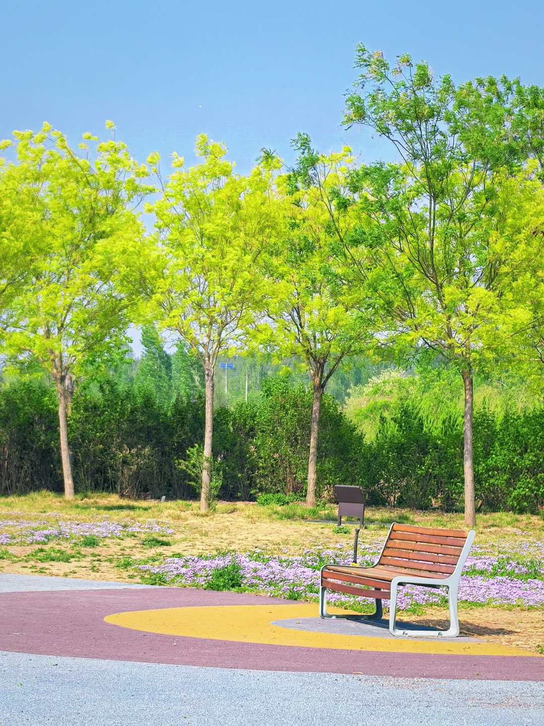 邯郸！发小带我来的小众公园，人少景超美