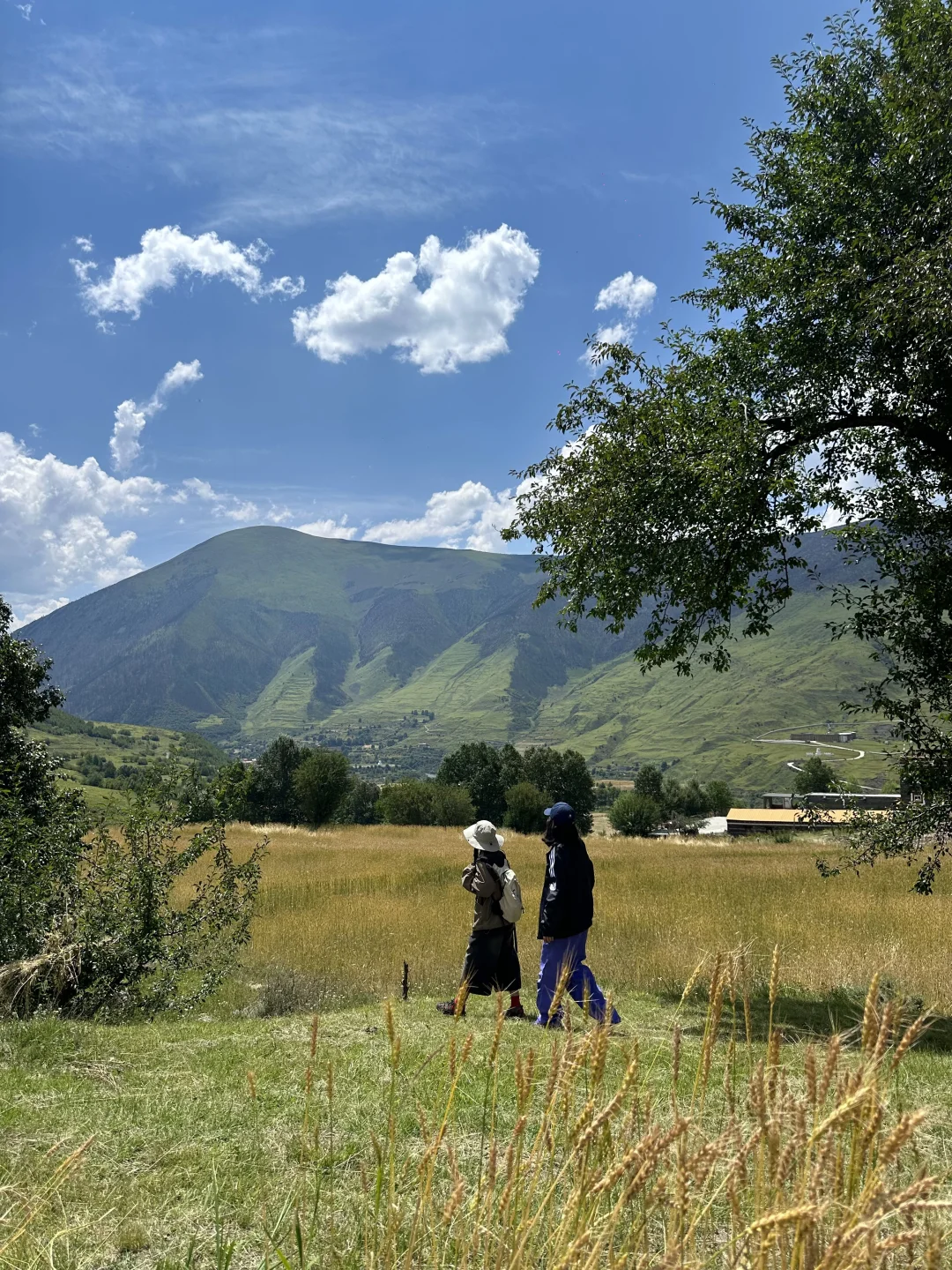 我很少用震撼形容一个地方！！（live）