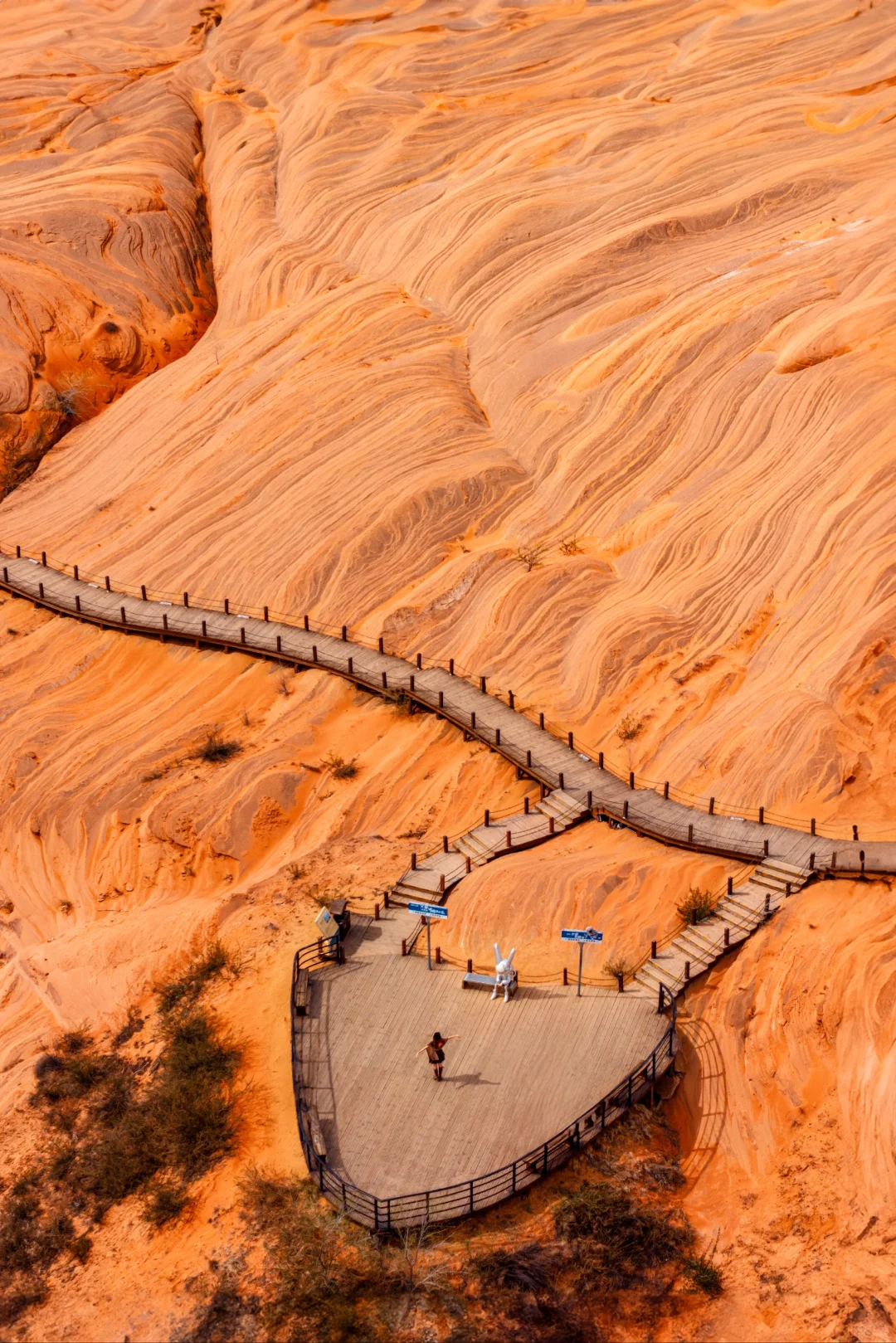 真的没有在美国，被眼前的一幕震撼到了...