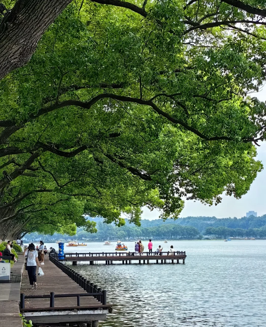 玄武湖算不算南京最舒服的景点了