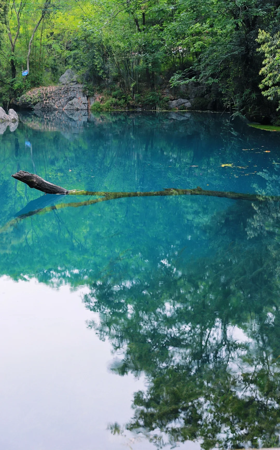 桂林周边游｜安和龙井村