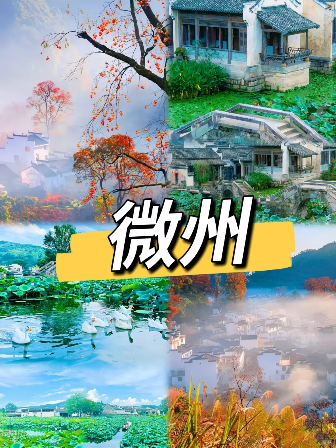 五一最适合遛娃的9个小众宝地❗❗❗