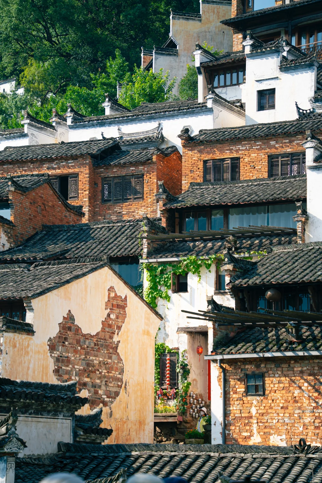 江西你藏的太深了‼️这么美的地方都不宣传⁉️