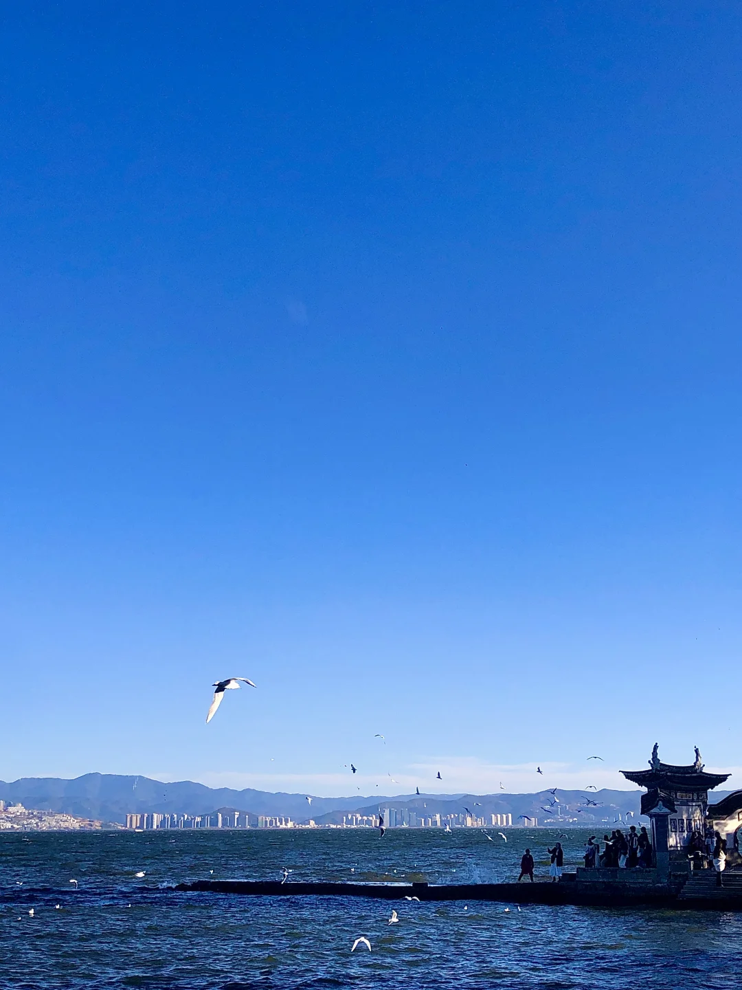 云南旅居半个月后发现6天5晚游云南1500真的