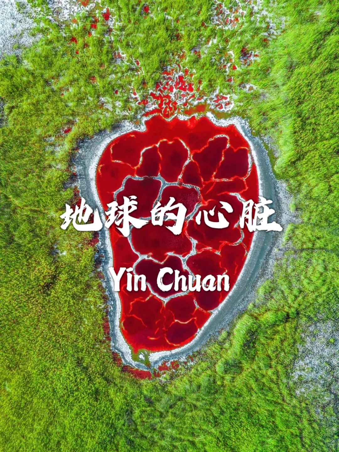 银川必打卡九个宝藏景点!