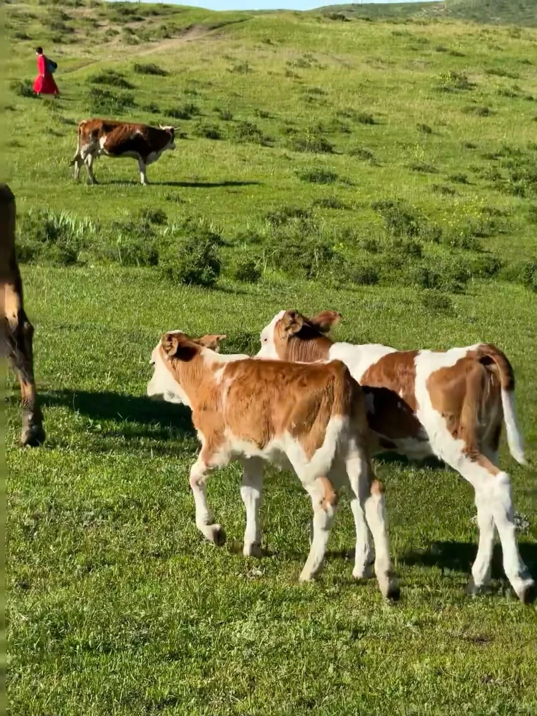 淡季的内蒙古真的是人生必去之地。。。