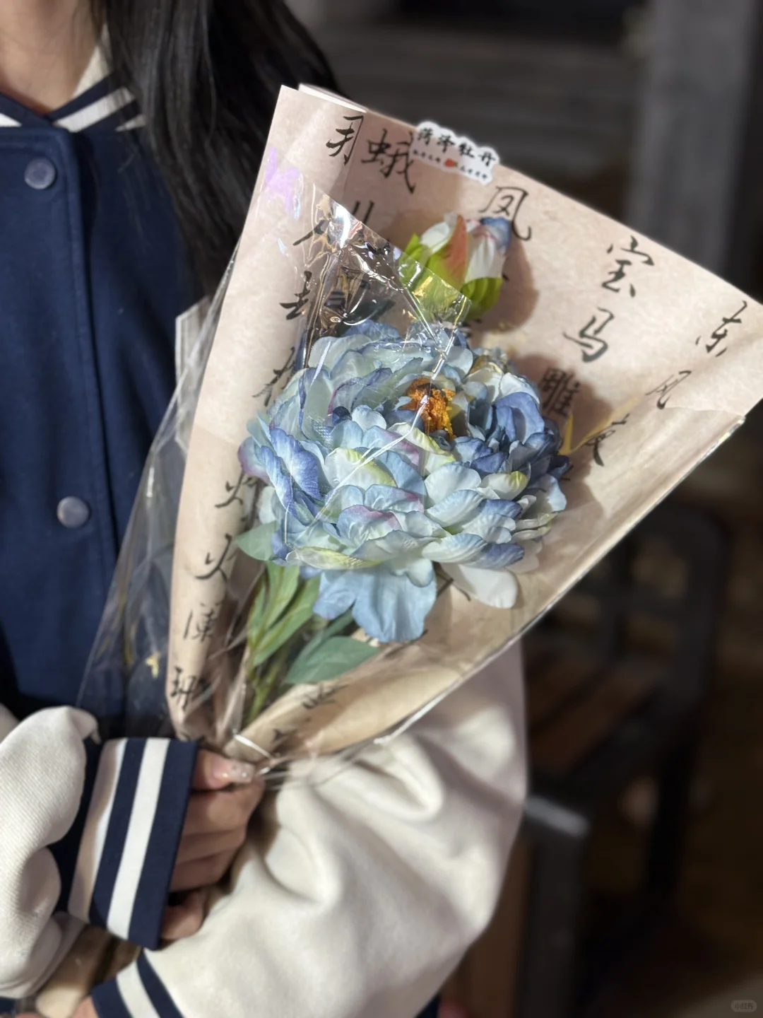 牡丹花曹州古城