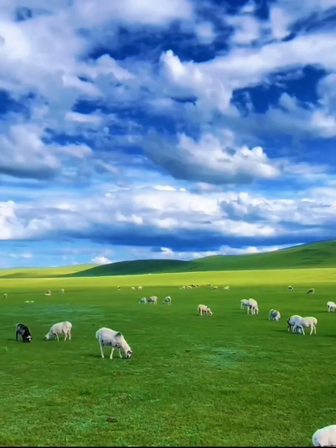 在小红书上跟风成功的一次 隐藏的宝藏城市