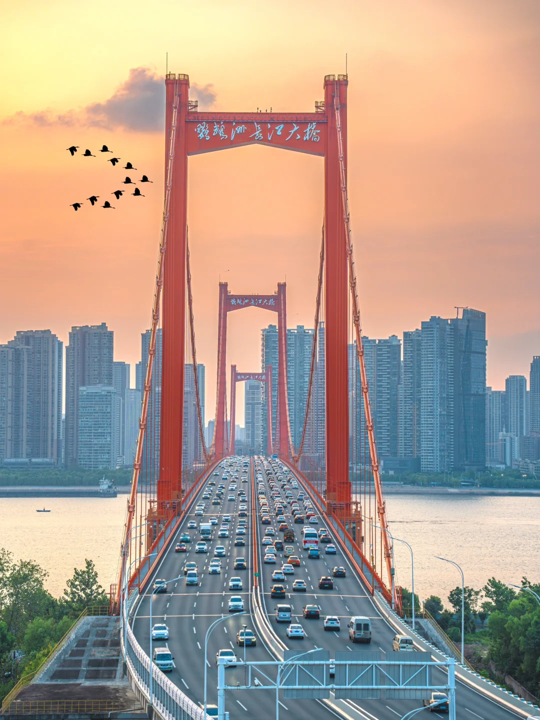 因为这1️⃣8️⃣张照片，我特意去了一趟武汉‼️