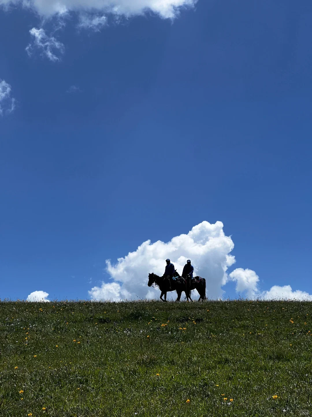 5~6月打算去新疆的，建议看一下我的经验