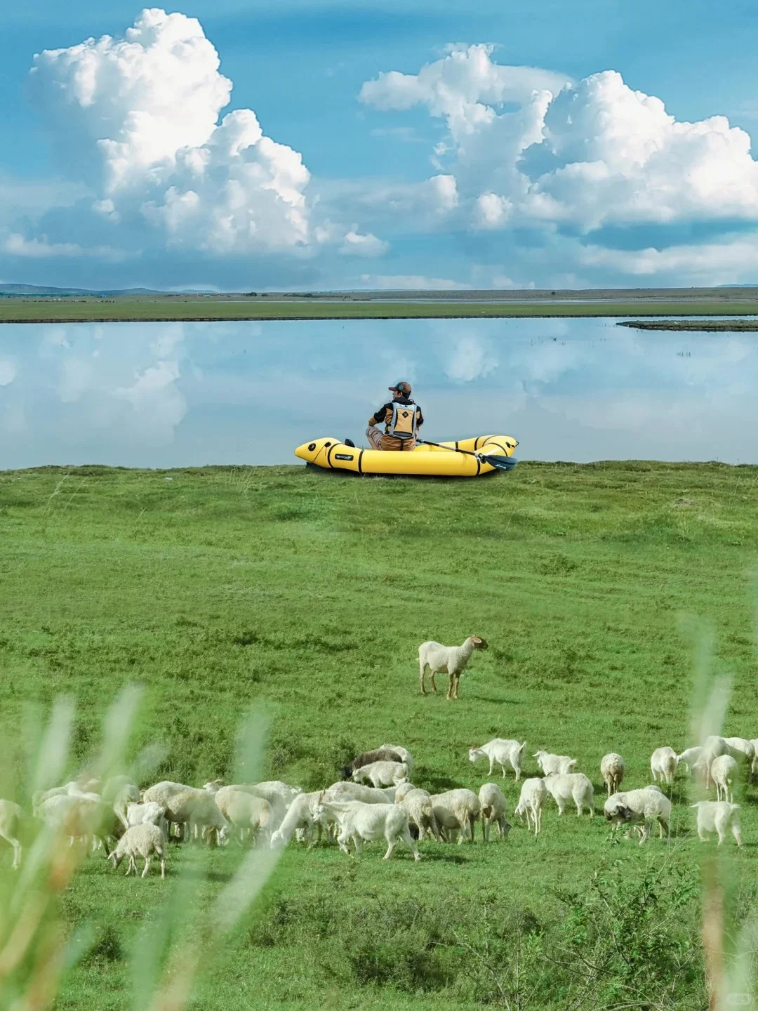 看了再见爱人4，想立刻飞去内蒙古😭