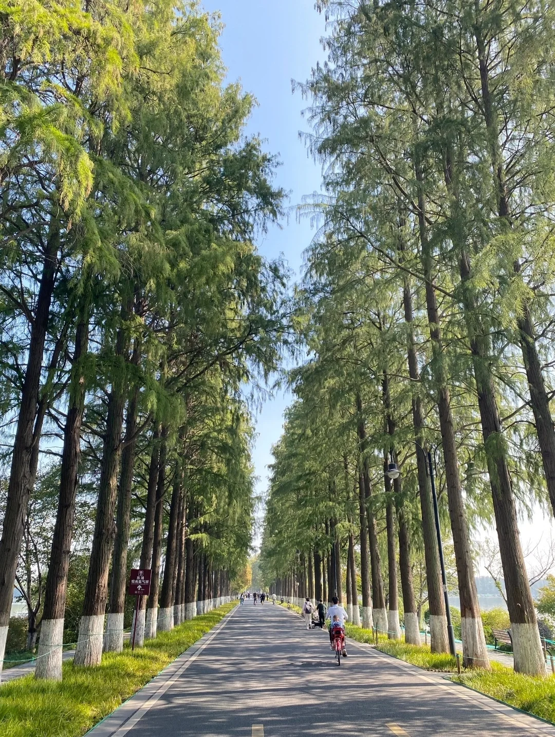 东湖一日深度游攻略！🚩