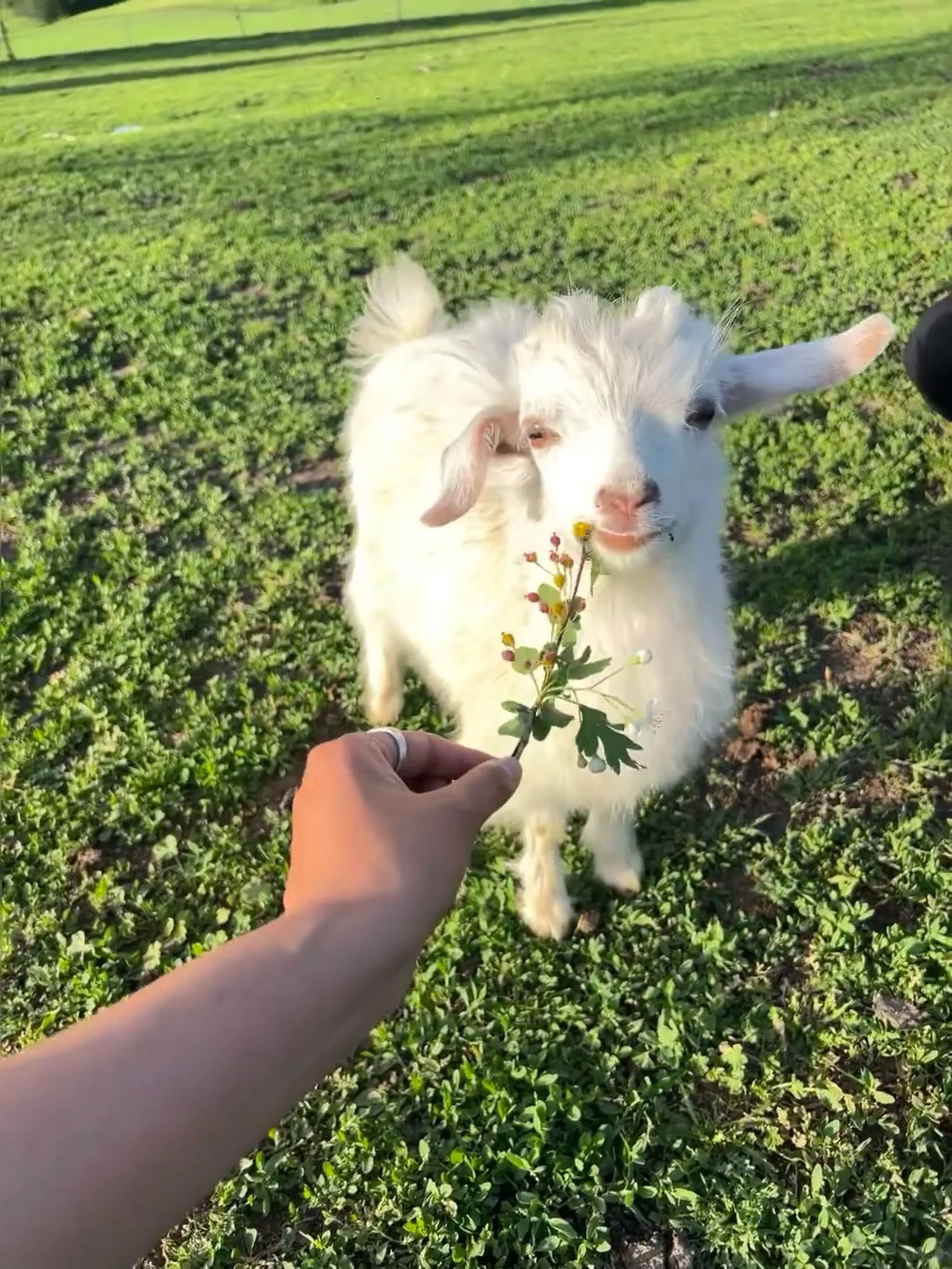 淡季的内蒙古真的是人生必去之地。。。