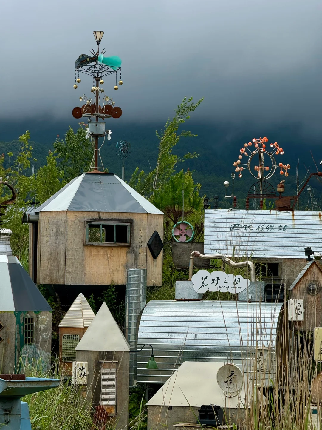 谁还不知道丽江有这么个神奇的地方啊