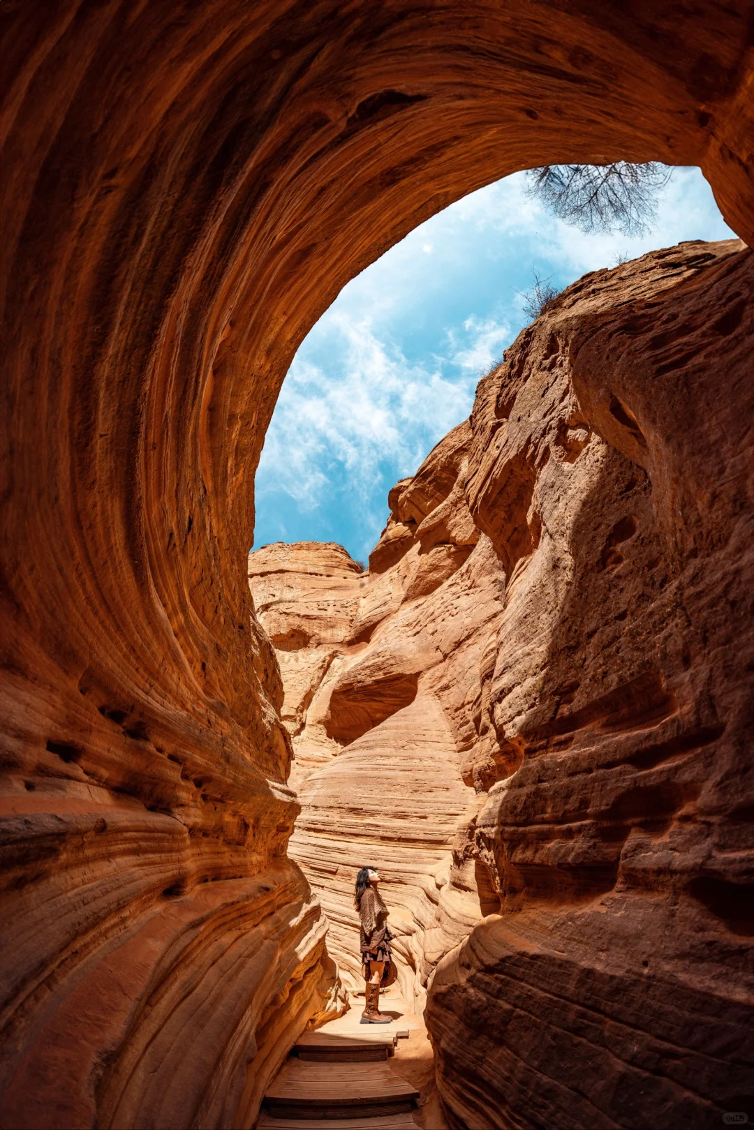 真的没有在美国，被眼前的一幕震撼到了...