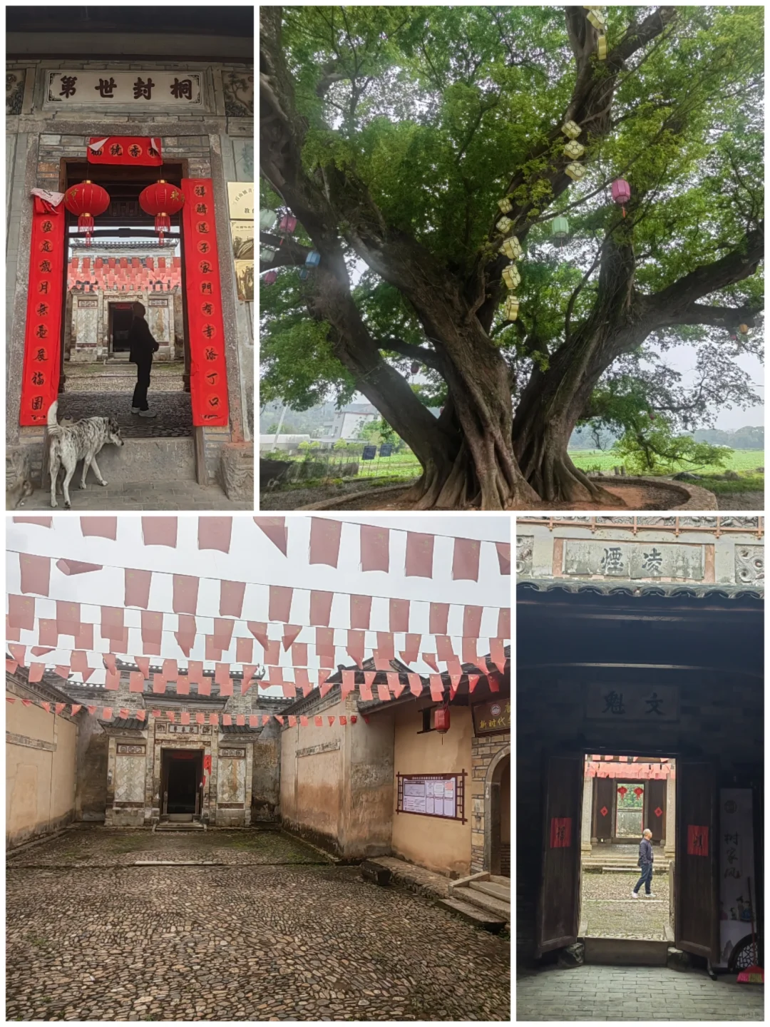 东江之源，大美小众三百山🛣🚘