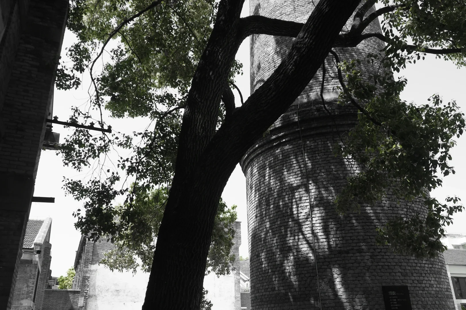 奥林巴斯扫街 陶阳里