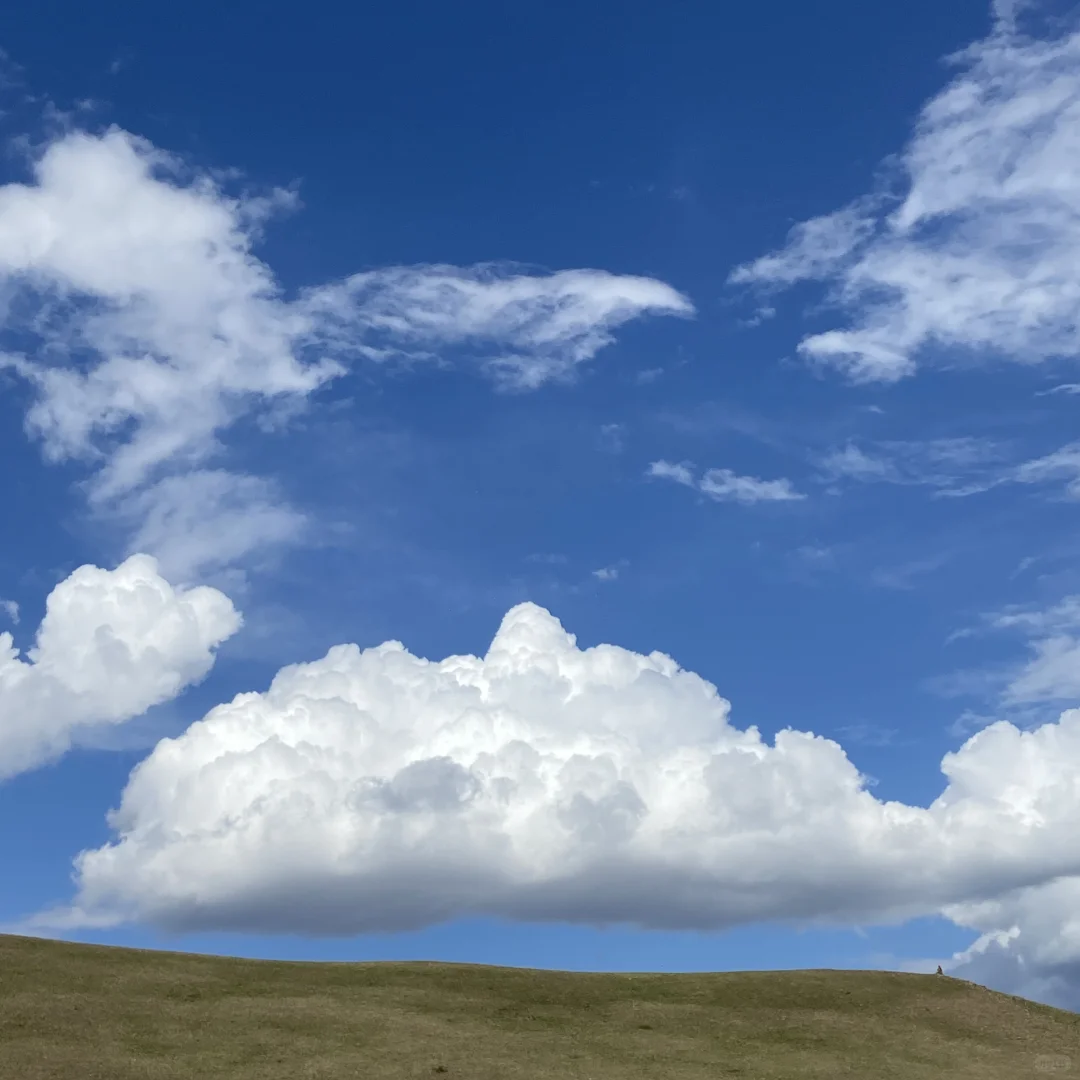 超令人难忘的景点一七彩森林 🌳