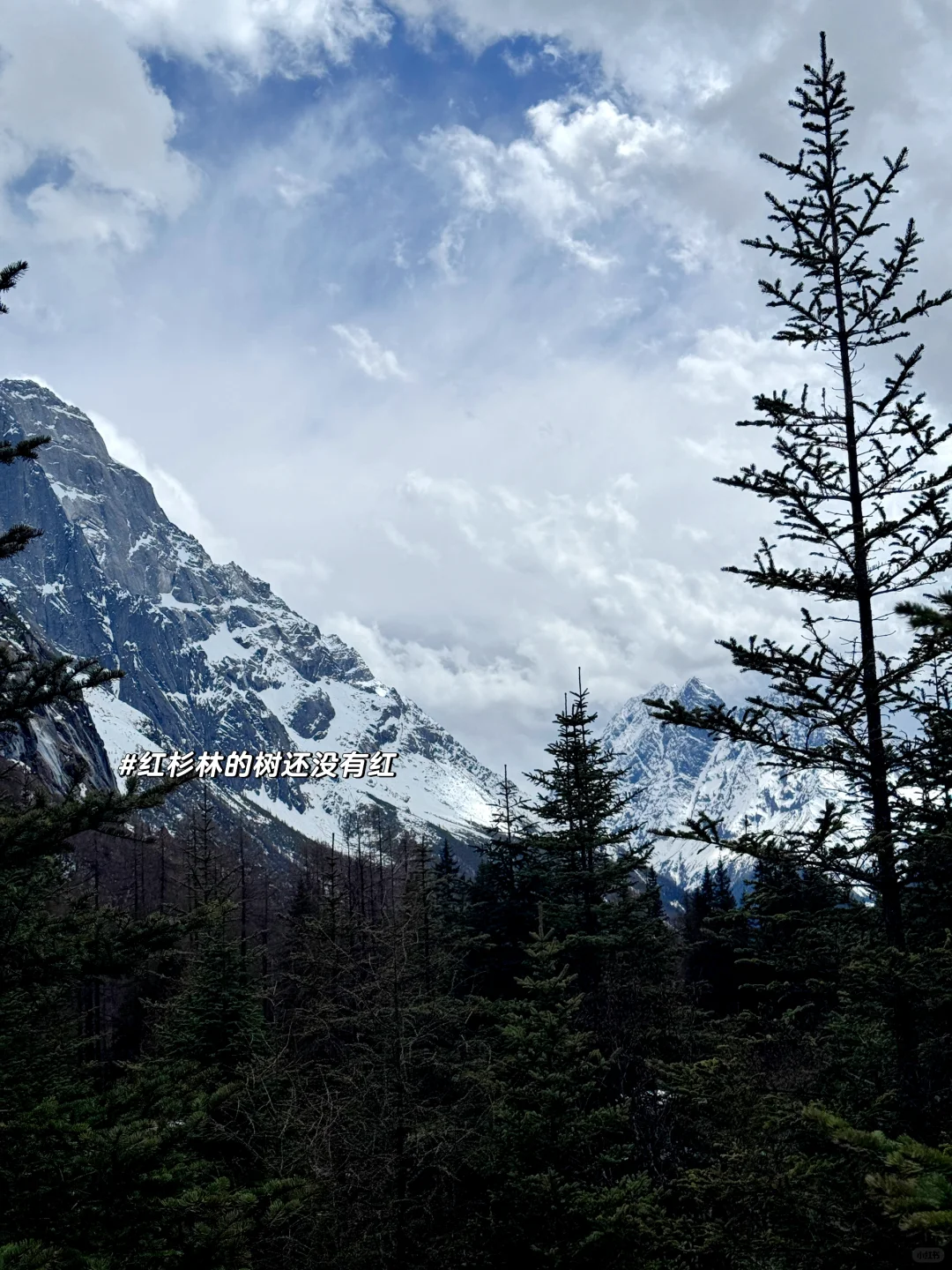 在川西被暴雨追着跑的一天｜四姑娘山双桥沟
