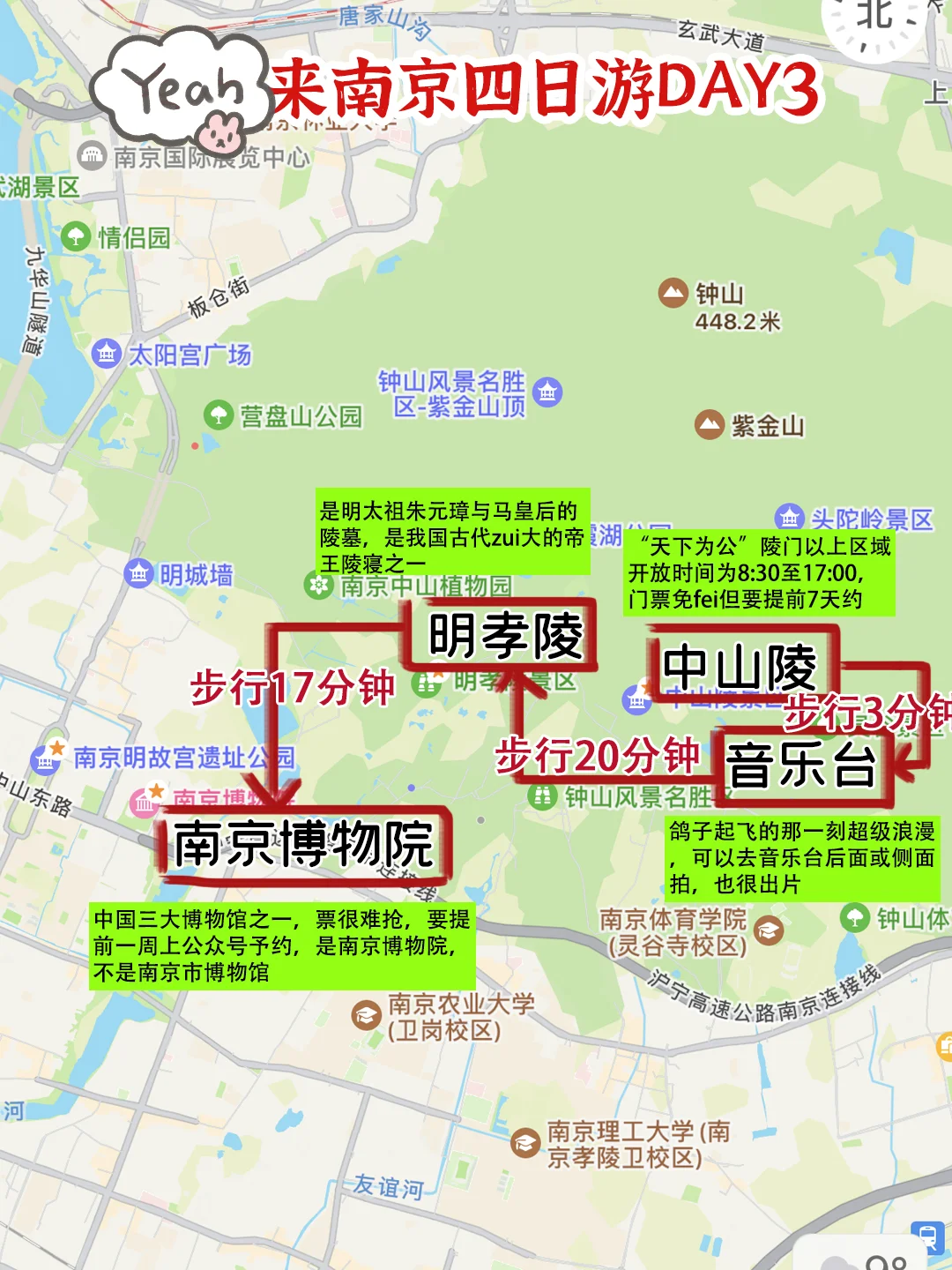 南京是会惩罚每一个不预约的人