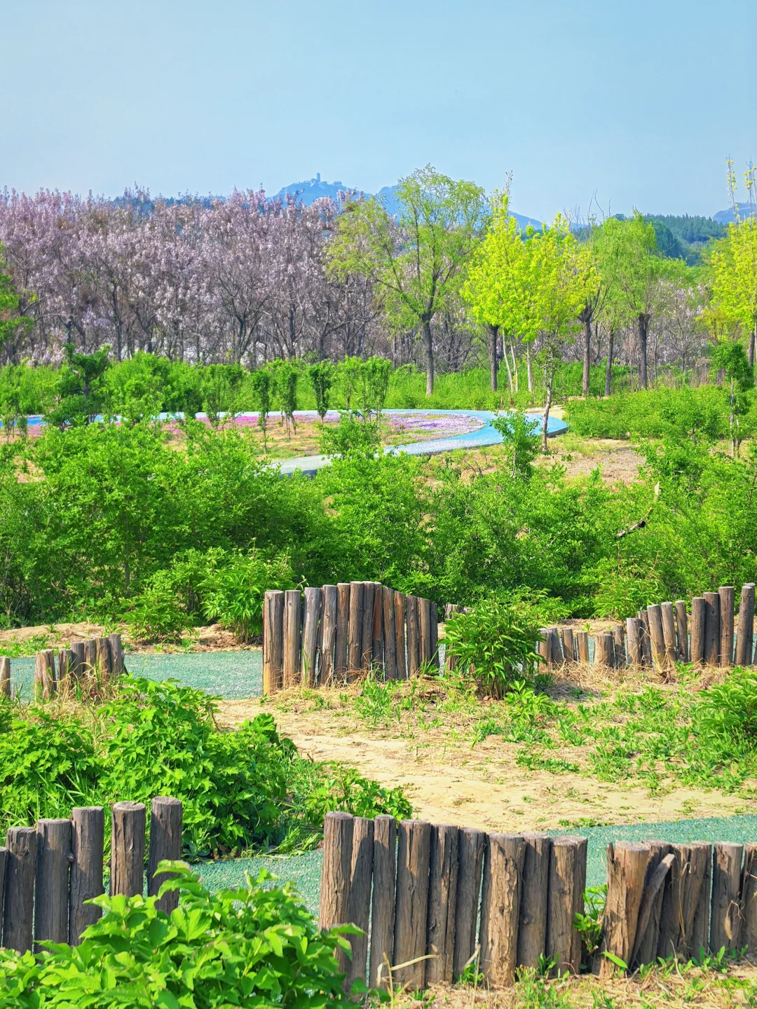 邯郸！发小带我来的小众公园，人少景超美