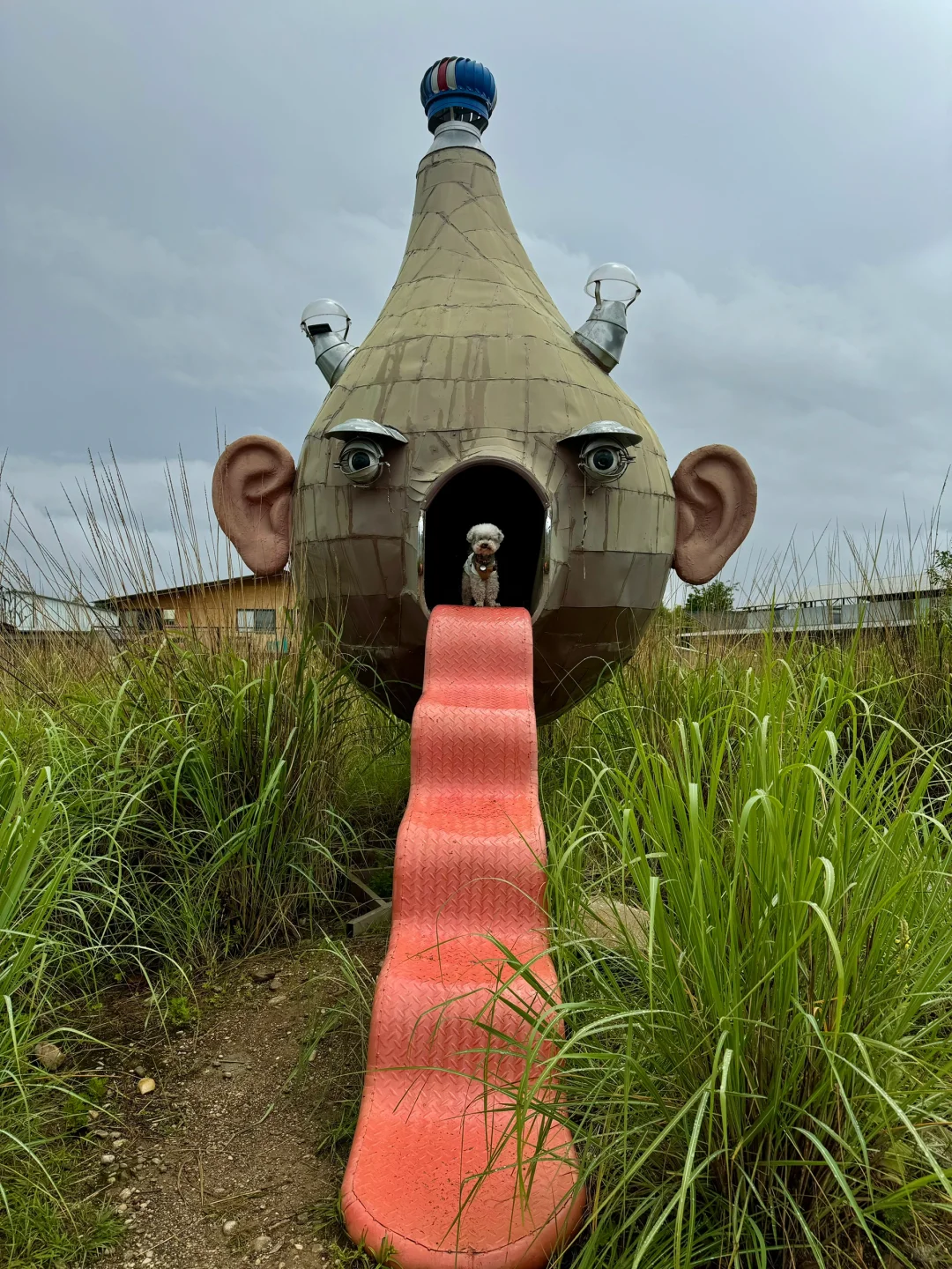 谁还不知道丽江有这么个神奇的地方啊