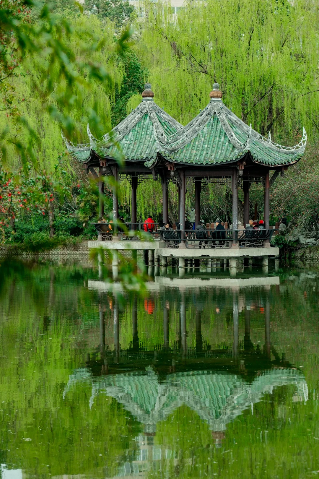 交换春天｜在成都找到了现实版的“言叶之庭”