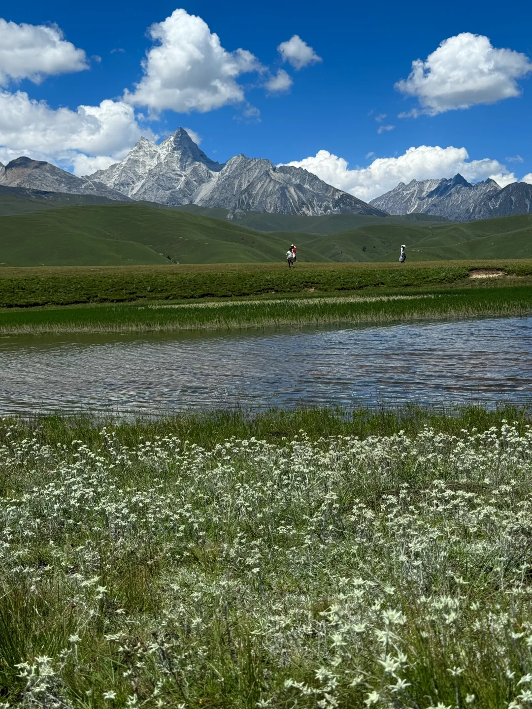我很少用震撼形容一个地方！！（live）