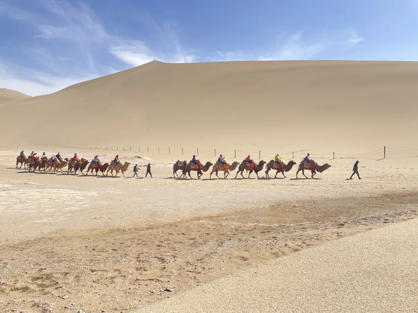 我们的青甘大环线完美落幕～