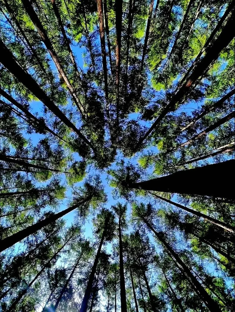 🌄山西芦芽山超全旅行攻略｜闯入人间仙境