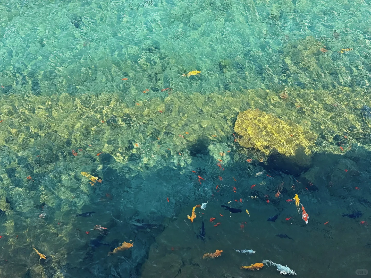 邯郸| 黑龙洞 简直了🗾九寨沟分沟！！！