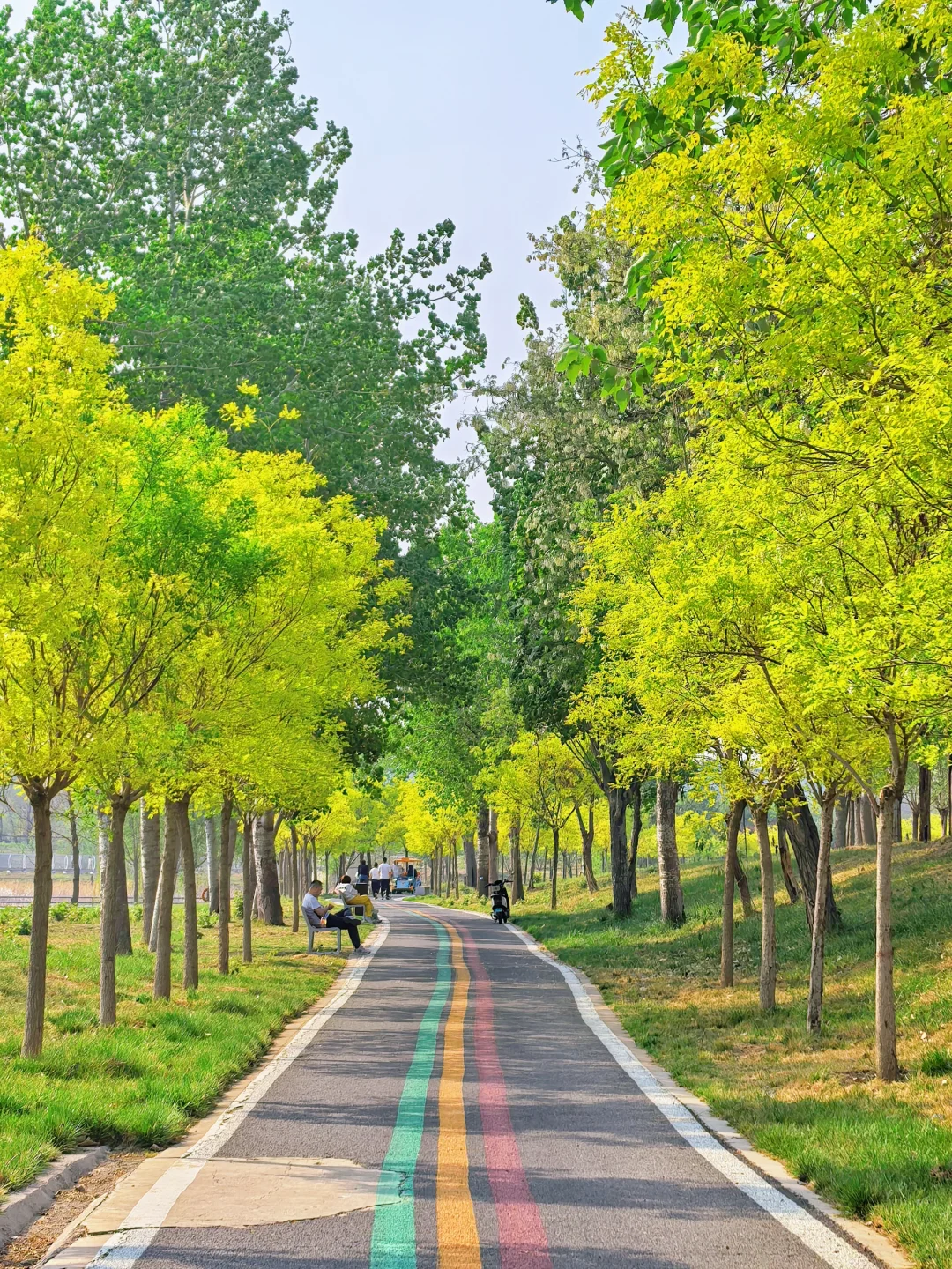 邯郸！发小带我来的小众公园，人少景超美