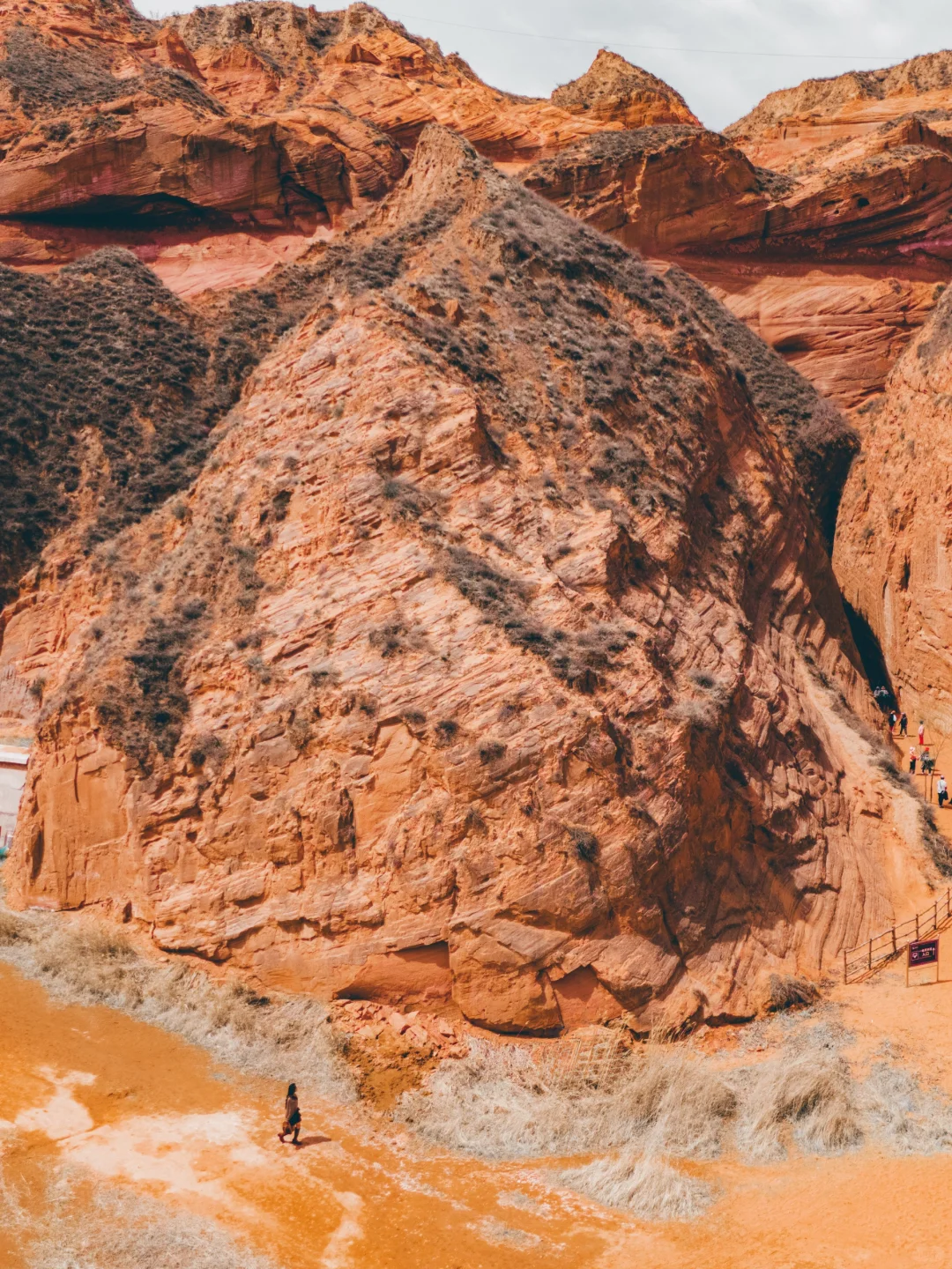 真的没有在美国，被眼前的一幕震撼到了...