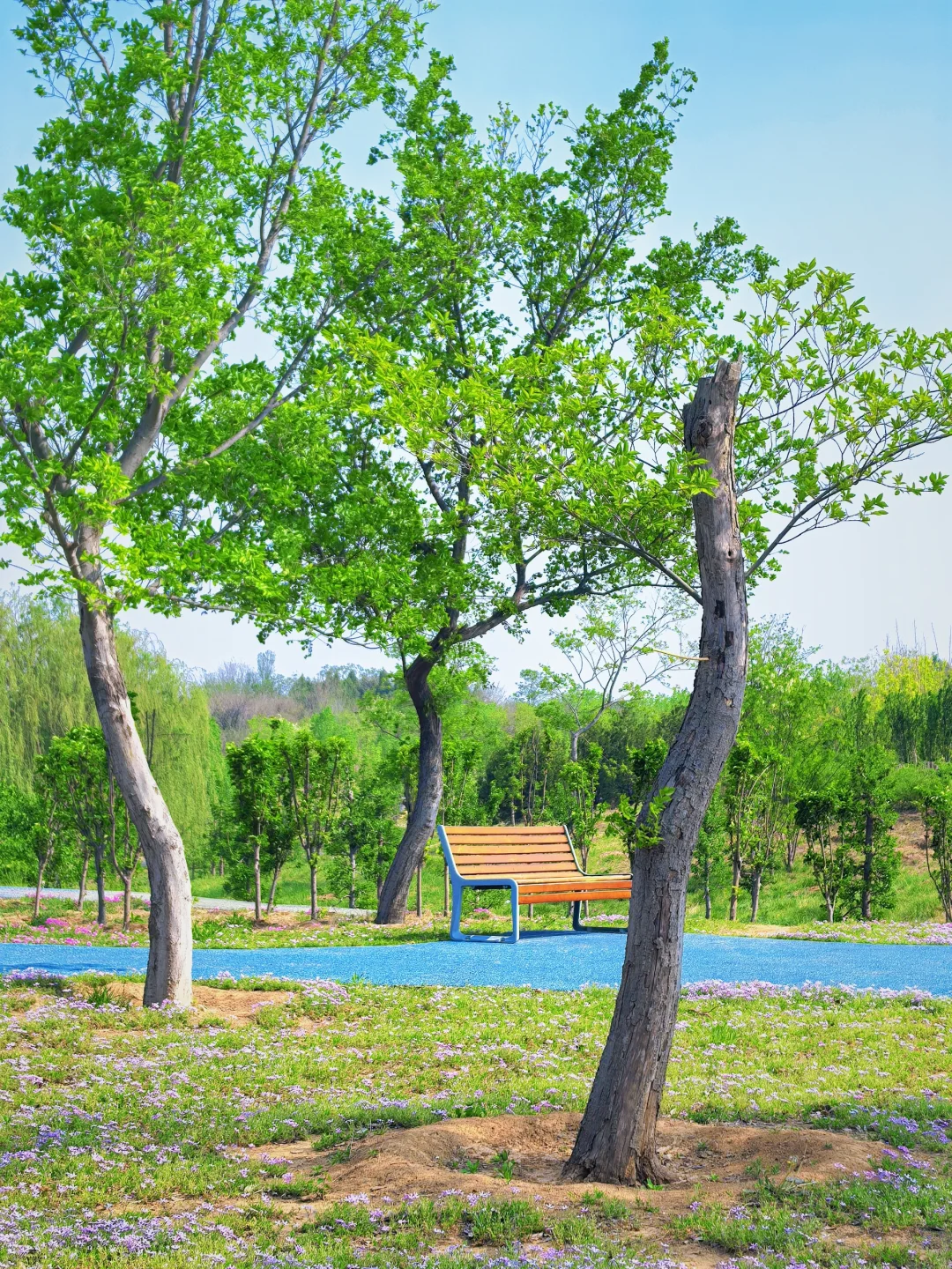 邯郸！发小带我来的小众公园，人少景超美