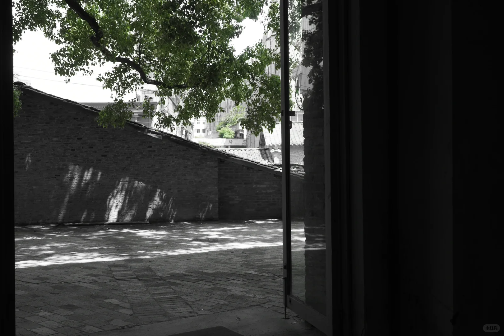 奥林巴斯扫街 陶阳里