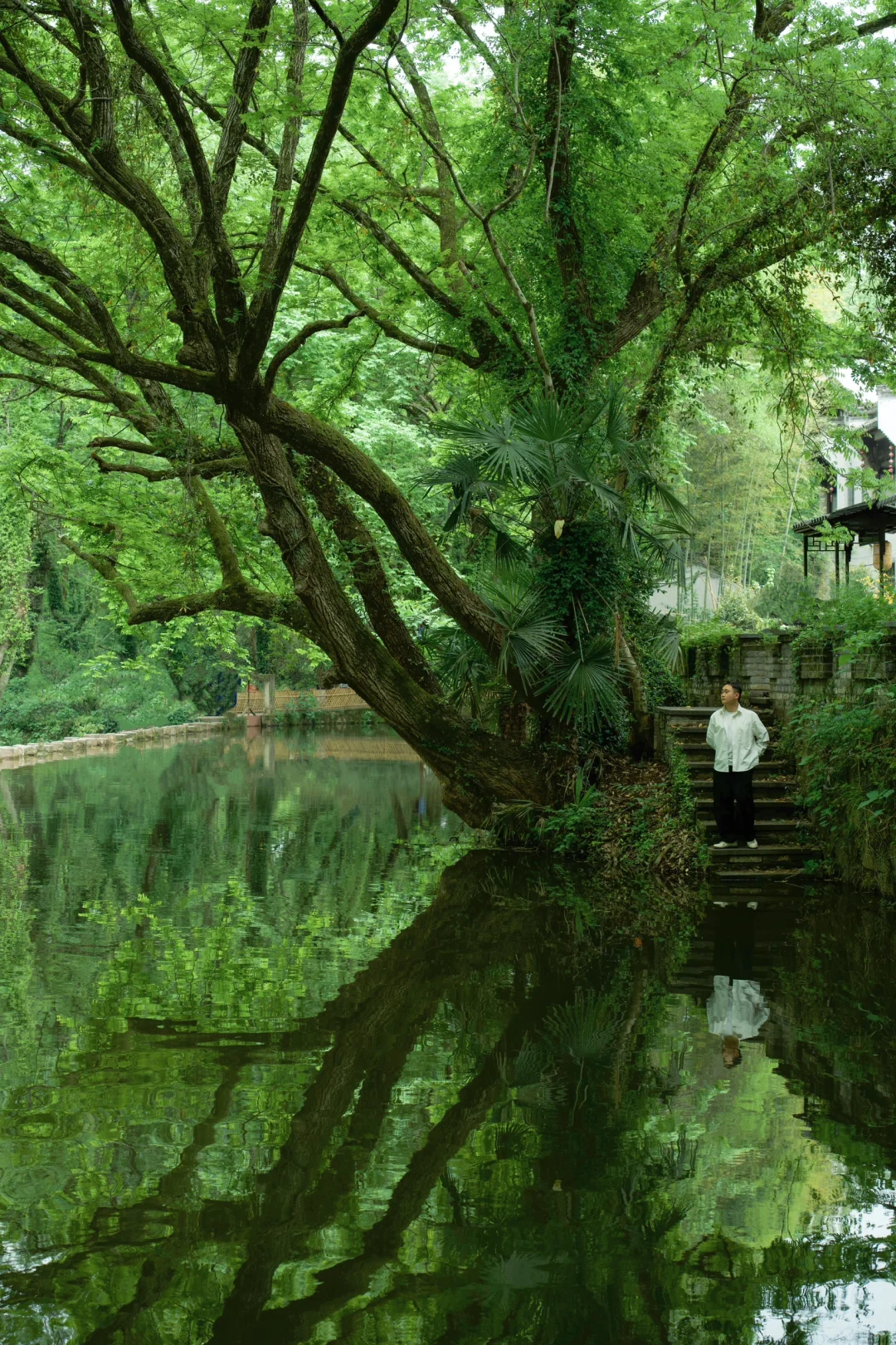 杭州2小时，我在黄山乡村找到了久违的松弛🍃